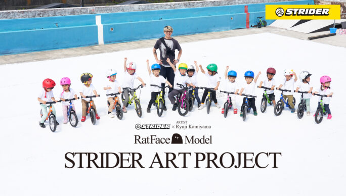 STRIDER ART PROJECT